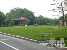 刚需上车 采光好,必看好房