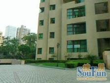 百年淮海路+品质外销房+上海图书馆相邻+高品质会所