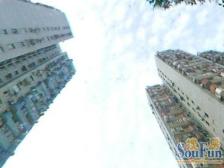 朝南,双南,电梯好房!业主诚意出售,价格可以议!