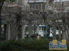 步行二号线威宁路站四百米,采光好有电梯