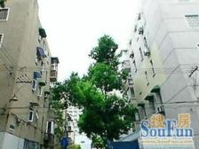 地铁8号线150米,楼层好,公园50米