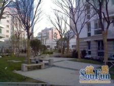 徐汇区内环边2010年每平单价6.4万有花园哪里找呀