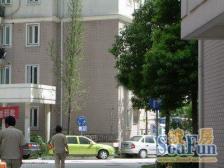 沪中新苑 1室1厅 南