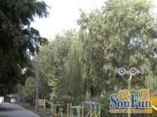 自住装修 一梯两户 楼层好户型好