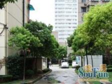 电梯房,三年精装修,拎包入住,采光通风好