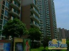 03年,板式两房,全明户型,电梯中区,看房随时,近4/12号