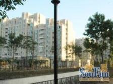 大一房,全明边套,颂小院,诚意出售,看房方便