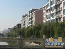 平南+上实西,自家阳台可以看的上实西操场,电梯高区