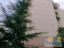 美丽家园小区+近19号线+低总价两房+全明两房