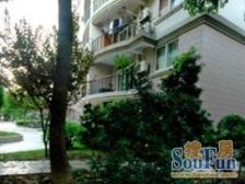 高品质小区,双南双阳台,电梯中区板楼,交通便利