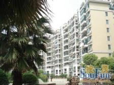 近地铁现场实勘,必看好房