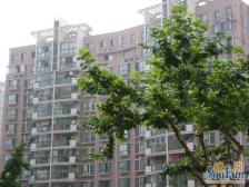 高端品质小区斜土路大木桥,丝庐花语3室2厅,配套成熟随时看房