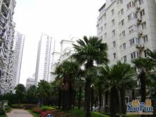 小高层飞机户型,南北通透的三房,格局方正位置安静适合居家