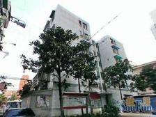 双花公寓2室南朝向319.00万元/套出售