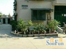 美丽家园已做 业主诚心出售 怡佳苑2室1厅