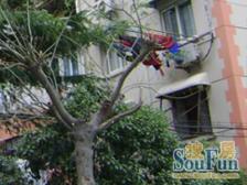 近地铁 精装 现场实勘 无抵押,热销好房