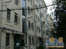 徐汇三轨交汇 高铁出行便捷 双楠户型拎包入住