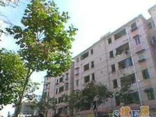 五角场·国定路277弄·1室·1厅