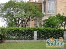 汤臣高尔夫别墅6室南朝向6500.00万元/套出售