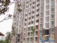 新上好房+采光不遮挡+业主诚意出售+随时看房