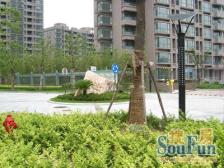 新出顶楼复式,带固定租赁车位,厅挑髙,不靠高架