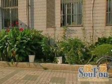 天诚花苑3室东朝向860.00万元/套出售