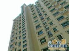 徐家汇新上一梯两户小洋房南北通稀售看房方便只认我