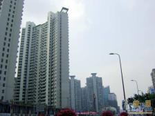 徐家汇·亚都国际名园·2室·1厅