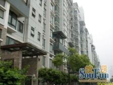 顶楼复式 附带面积 精装修 业主诚意出售