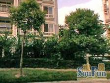 中星凉城西苑3室南朝向665.00万元/套出售