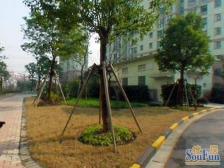 电梯高区,南北通透,中环边新小区,车位充足,有钥匙