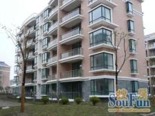 枫泽苑电梯大三房飞机户型,楼层位置好,有钥匙随时看