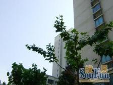 15号线地铁200米 南北通透户型方正 诚意出售