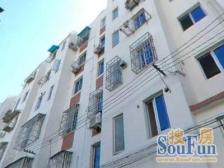 新上一楼带小院+7/13地铁双轨+小院惬意温馨静待有缘人