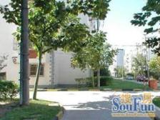 北蔡·海东公寓·2室·2厅