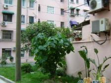 金虹桥·吴中路940弄·1室·1厅