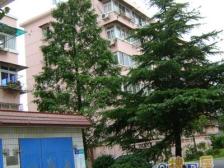 刚需上车 入住快 满五 店长力推