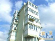 带大露台!适合种菜养花烧烤喝茶!四房朝南!拎包入住