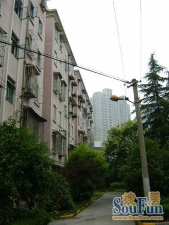 华富小区实景图