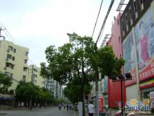 奥森花苑 3室2厅2卫 南