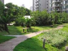 无抵押产权清晰电梯房新上房源