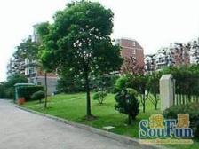 满五年,内环旁,南北户型,大露台