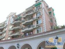 新上顶复南北双大露台空间大了心情好了日子旺了