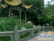 两梯三户,中区全明户型,视野开阔,满五年,随时看房