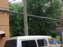 三轨交汇,电梯房,双南,高层,视野好,不靠轻轨