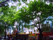 户型方正 近地铁 生活便利 采光充足