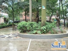 81号大院 原装电梯 实用两房