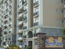 紫藤居(公寓) 1室1厅 南