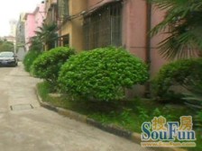 曹杨花苑北区1室南朝向320.00万元/套出售