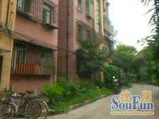 曹杨花苑北区2室东朝向328.00万元/套出售